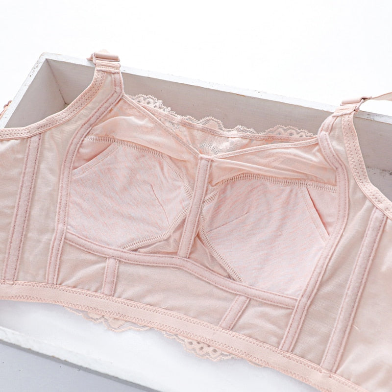 Crop top. Brasiere cobertura completa, encaje, moderno, juvenil, sexi. Libre de varillas